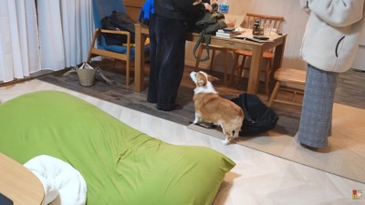 お兄ちゃんが帰って来ました♪