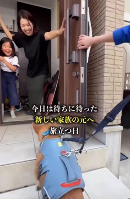 大歓迎される姿に涙…