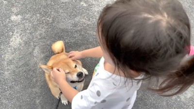 大丈夫だよ花子ちゃん！