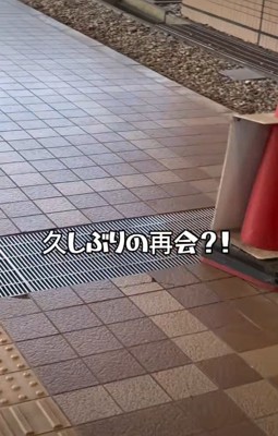 4日ぶりに再会