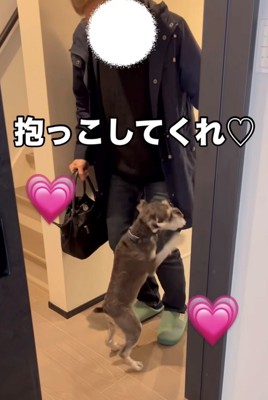 おばあちゃんに飛びつく犬