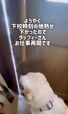 再会!下校パトロール