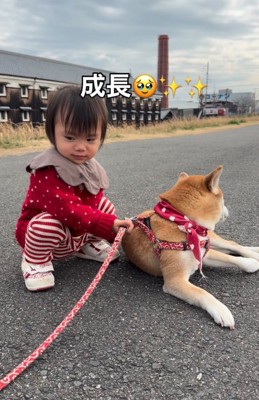 女の子と柴犬
