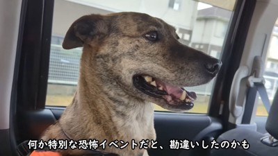 「怖いよ!助けて~」