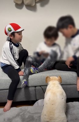 犬の後ろ姿2