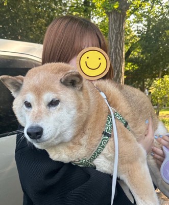 抱っこしてもらう