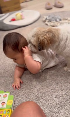 赤ちゃんが大好きなピコちゃん5