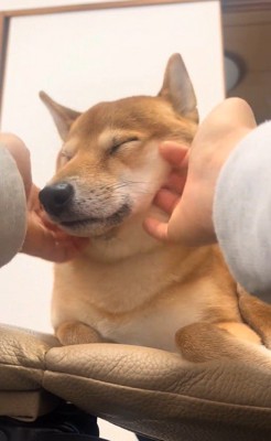 ふれあい中の福ちゃん2