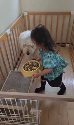 犬のサークルに入ったご飯皿を持った子供