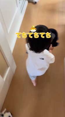 犬の方へと駆けて行く男の子