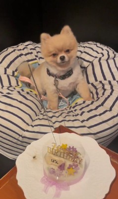 誕生日って最高！！