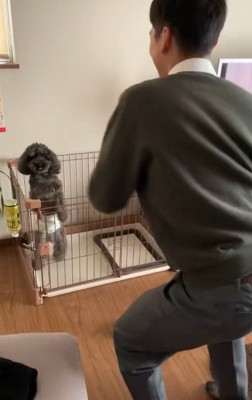 つられて踊りだすワンコ