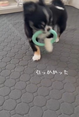 引っ張っても取れません！