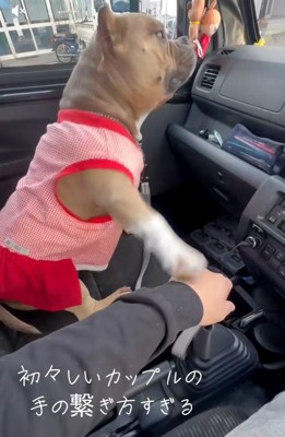 もう一度手を重ねるリリーちゃん