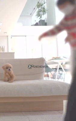 ドタバタするパパとばぁば