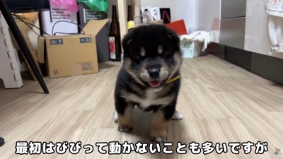 ニコニコ♪