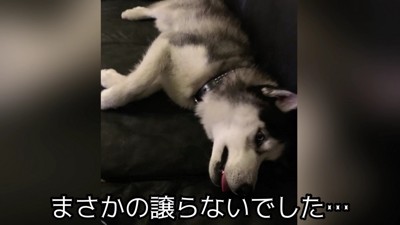 なかなか手放してくれない…