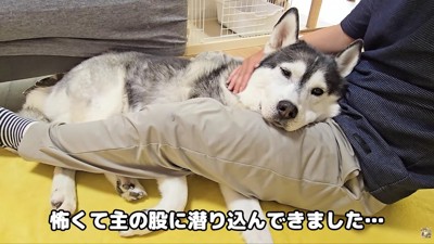 パパの近くが一番安心!!