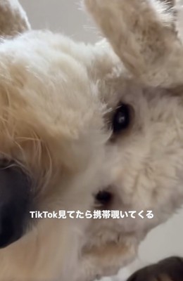 じわじわきちゃいます