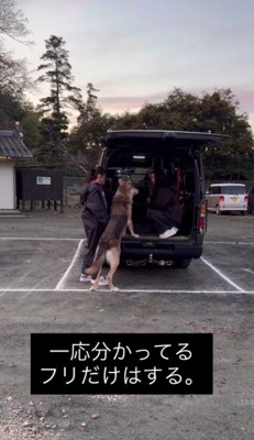 「やるべきことはわかってる」