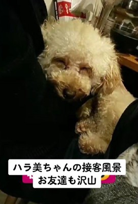 幸せそうな表情に涙…