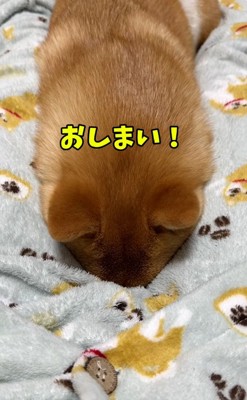 声をかけるママ