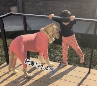 靴を見つめる犬と片足を上げる男の子