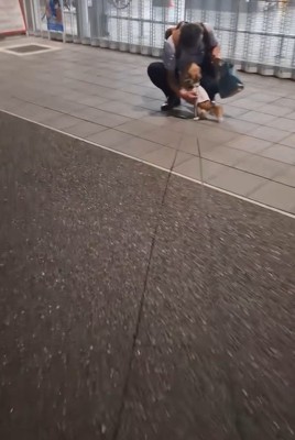 CoCoちゃんとパパさんの再会5