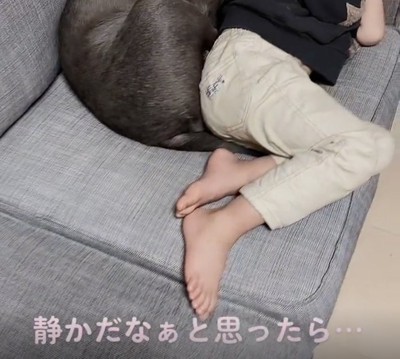 男の子と犬の足