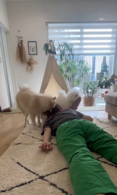 飼い主さんが寝ていた時のエマくん&ハルくん4