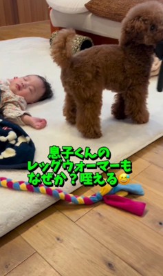 レッグウォーマーをかみかみ