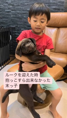 子どもが子犬を抱っこしようとしている姿