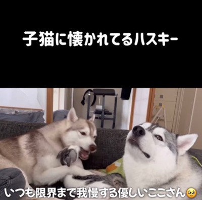 りりたん&ここちゃん&くぅちゃん⑩