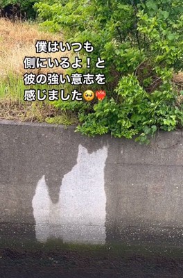 ウィルくんを感じる投稿主さん