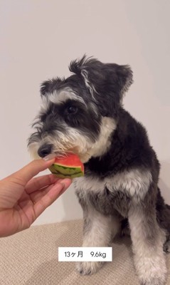 ボセくんの成長記録9