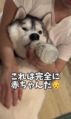 なりきり度100％！