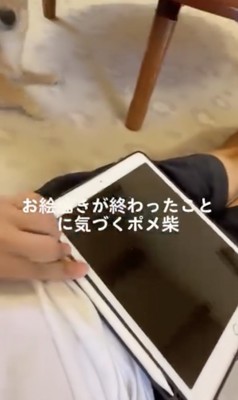 動き始めるもなかくん