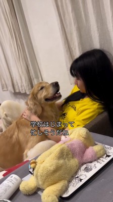 笑顔で女の子の顔を見つめる犬