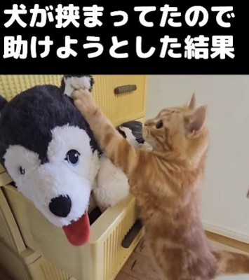 今から助けるね!