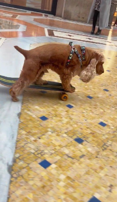 スムーズな滑り♪