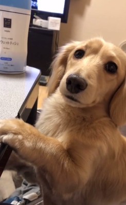 なぞなぞを聞くモナカくん