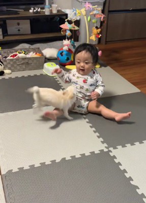 じゃれあっていたら…