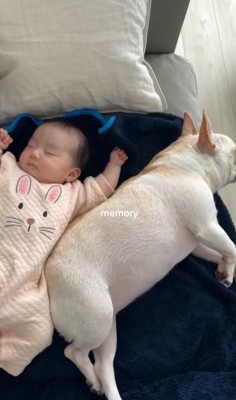 ぶうちゃんと赤ちゃん5