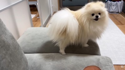 「オナラなんてしてないもん!」