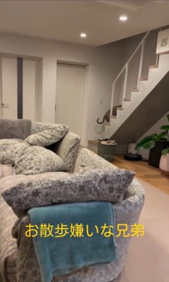 お散歩を嫌がるノアくん&ノエルくん⑩