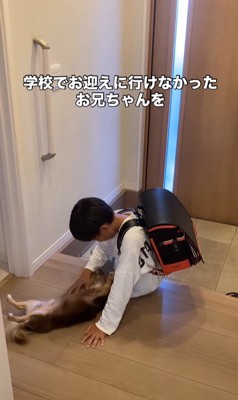 アムくんとお兄ちゃんの再会6