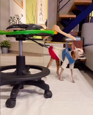 スピードを調整することも可能