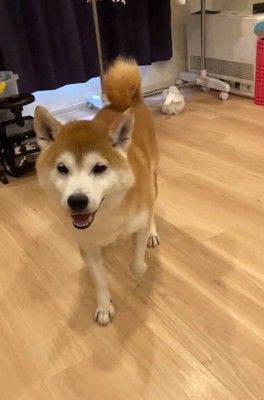 笑顔の甚八くん