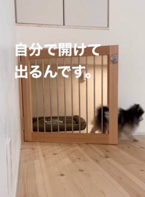 後を追いかける照くん