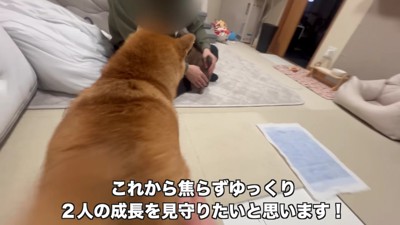 相性抜群な2匹でした♡